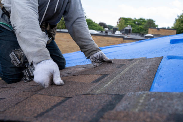 Best Roof Maintenance and Cleaning  in Candler Mcafee, GA
